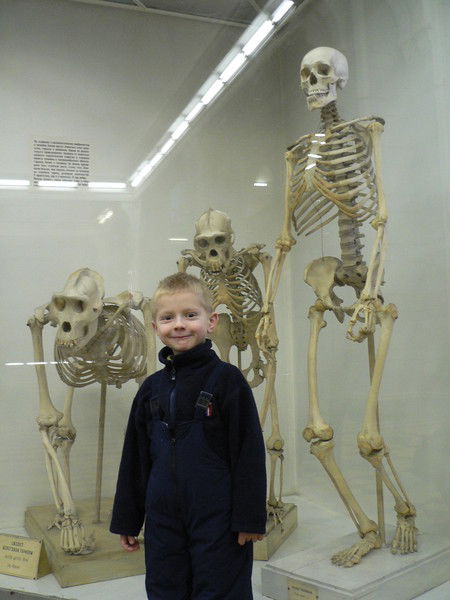 Виктор Андреев