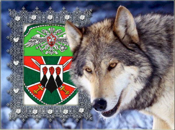 Ильфак Шарифуллин