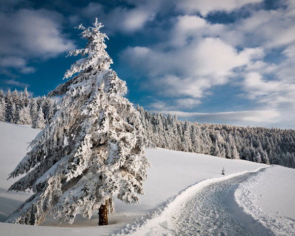 Радион Хлынов
