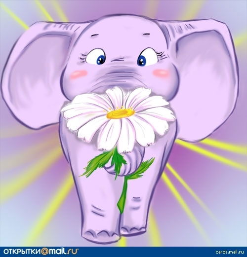 Наталья Дунцова