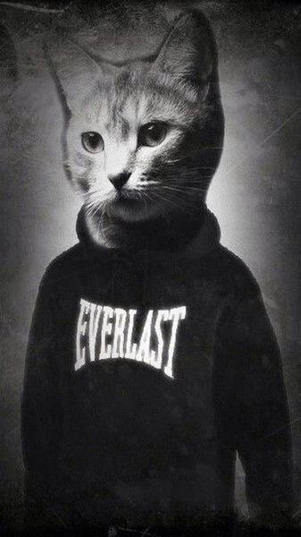 Сергей Костенко