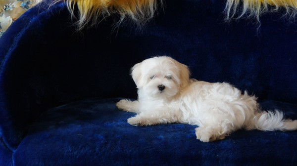 Галина Викторовна