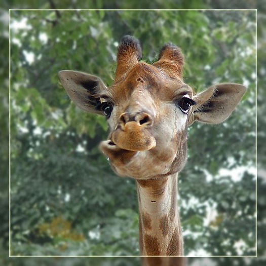 Стогов Сергей