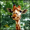 Стогов Сергей