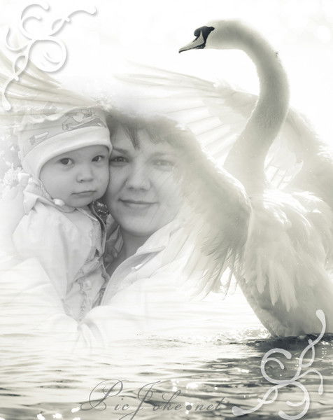 Дарья Посельская