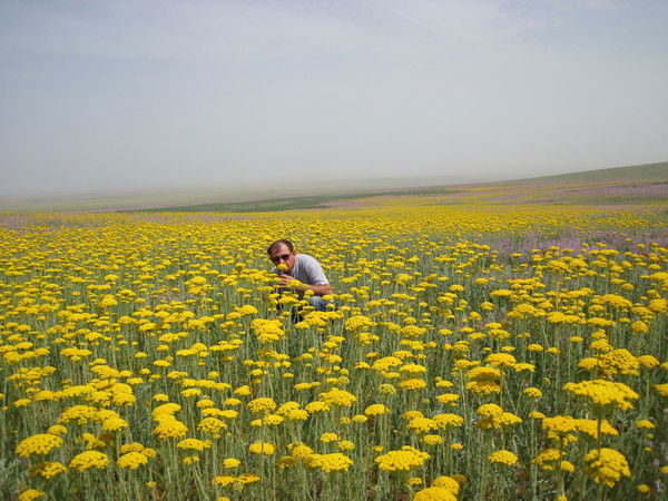 Равиль Гордеев