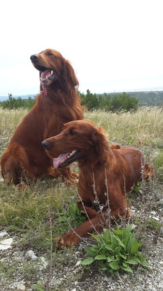 Сергей Афанасов