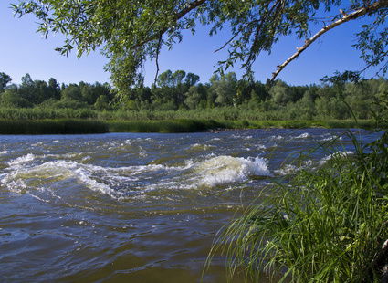 Катя Ступникова