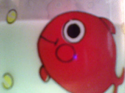 Дарья Дакалова