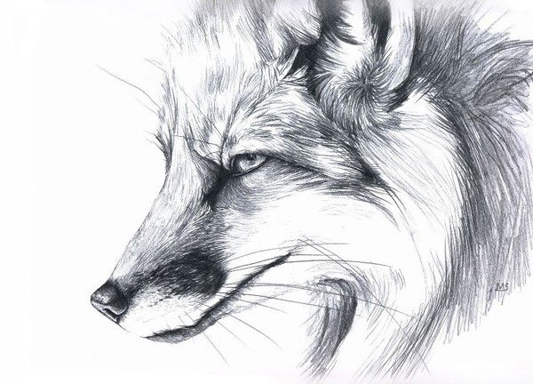 Дэнбрэл Чурюмов