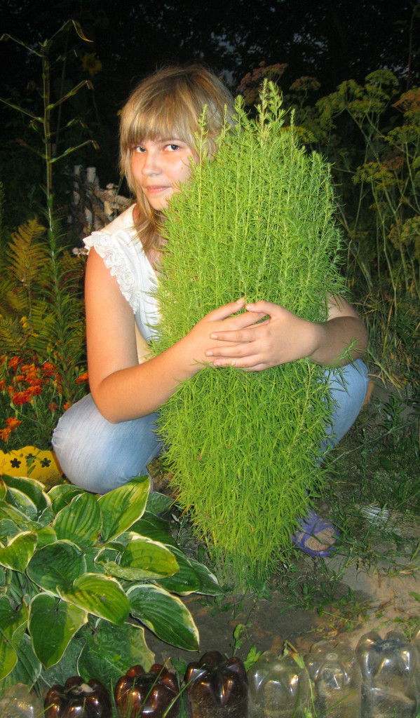 Анюта Ларюшкина