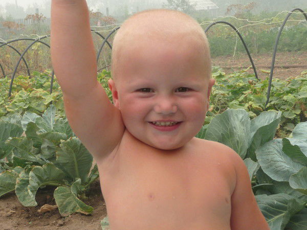 Владимир Крижановский