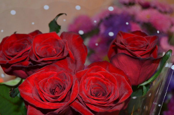 Ольга Фомина