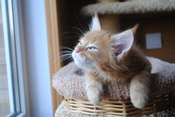 Валентина ***