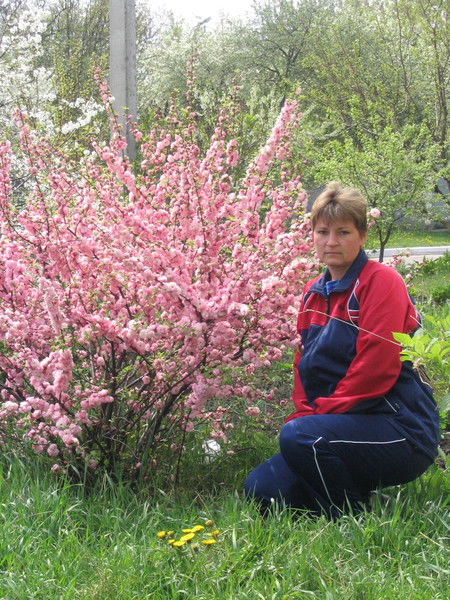 Елена Швецова