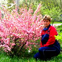 Елена Швецова