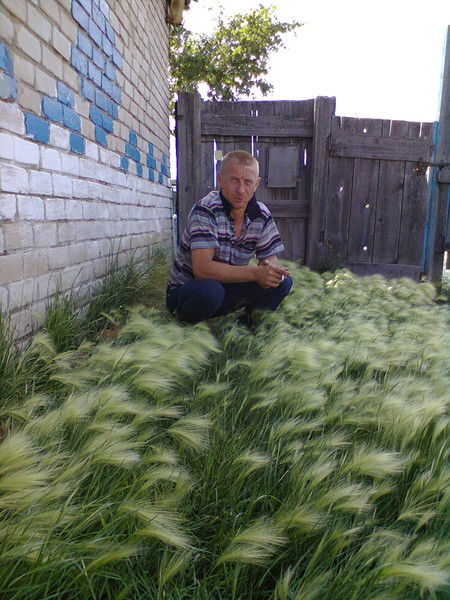 Андрей Аникеев