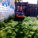 Андрей Аникеев
