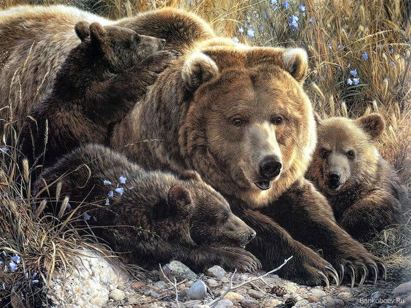 Михаил Сумин