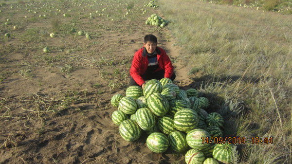 Жанат Рустимов