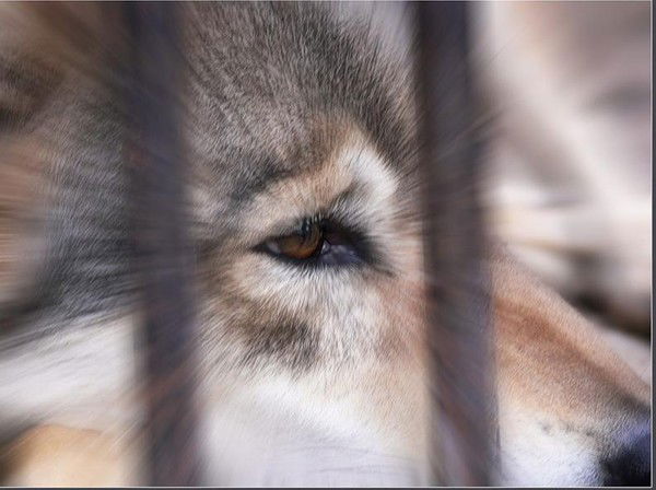 Сергей Фролов