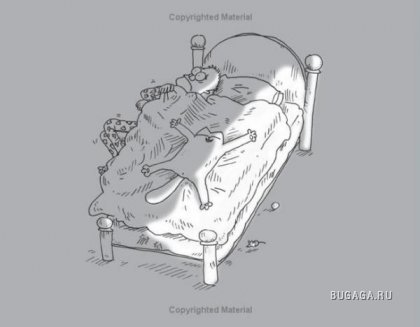 Максат Канапьянов {Zf}