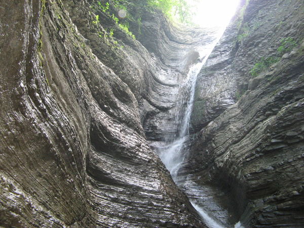 Сергей Юрский