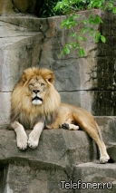 Елена Овсянникова