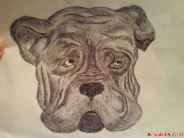 Умка Петров