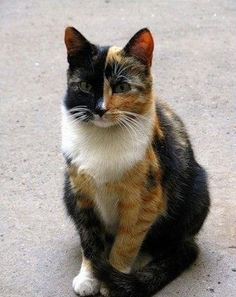 Наталья Гусева