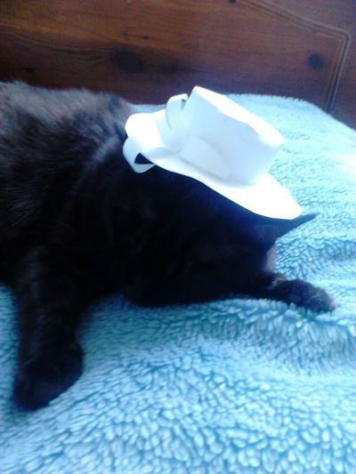 Александра Буландо