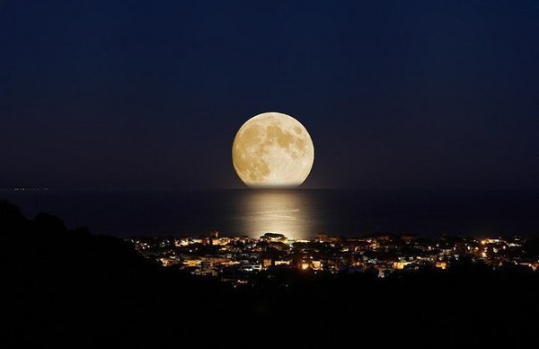 Елена Шатерник