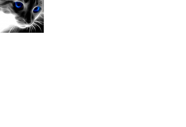 Света Андреева