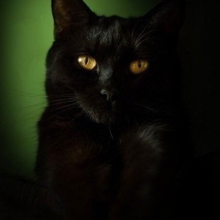 Любовь Ситар