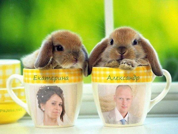 Екатерина Катастрофа