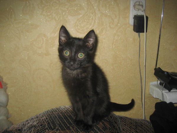 Фрося Попова