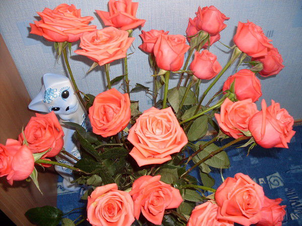 Надежда Чистякова