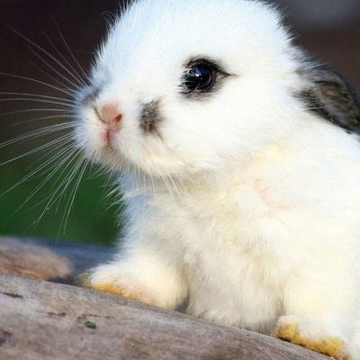 Екатерина Федорова