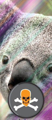 Саша Федоренко