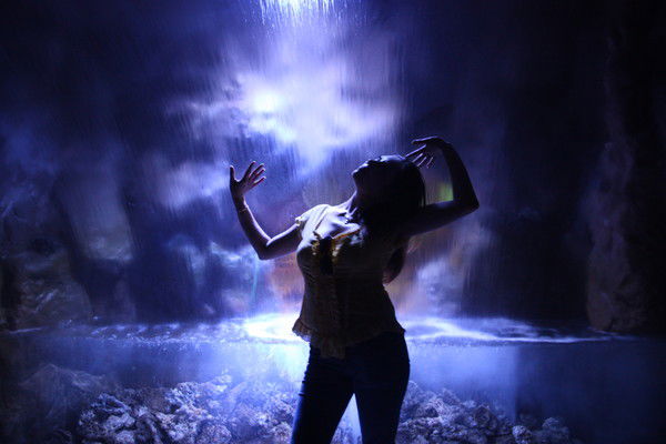 Елена Шкода