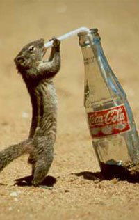 Илья Зайцев