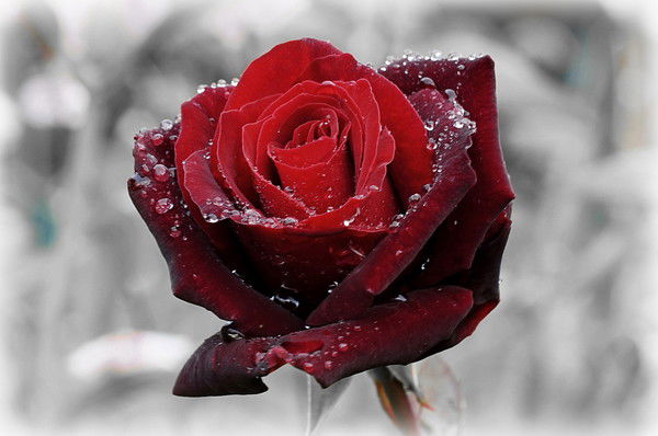 Сауле Игизова