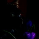 Adiva ~*`"~"`*~