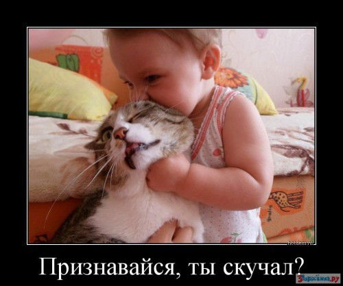 Aleksandr Загадка