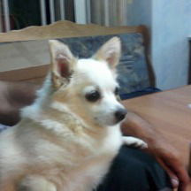 Олег Каиров