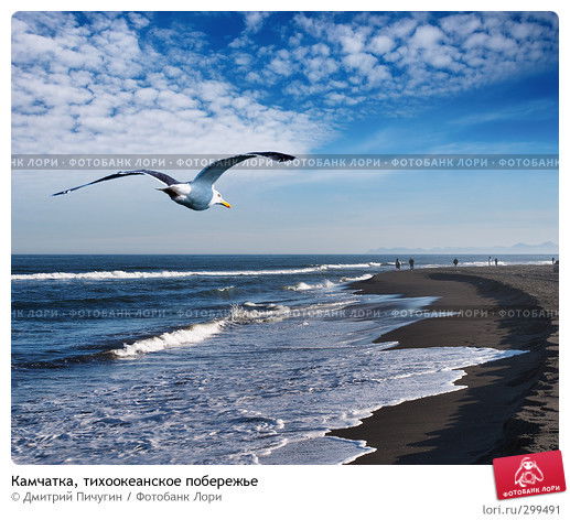 Гульнара Медведева