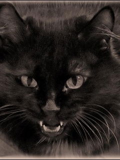 Лена Огоровая