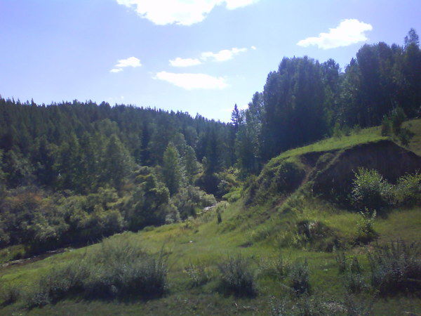 Светлана Армашенко