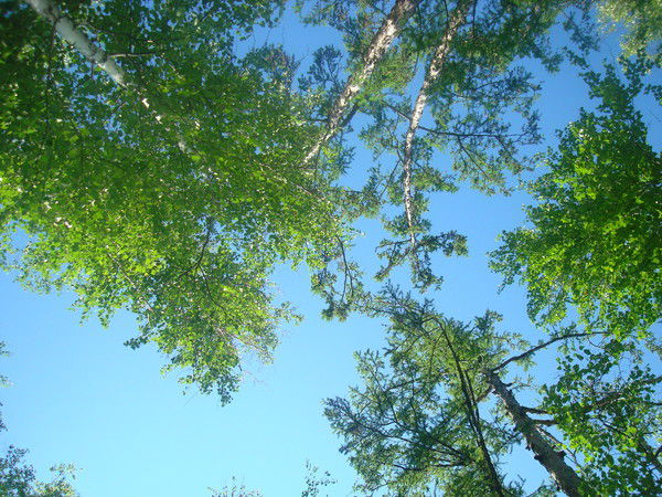 Ирина Кириллова