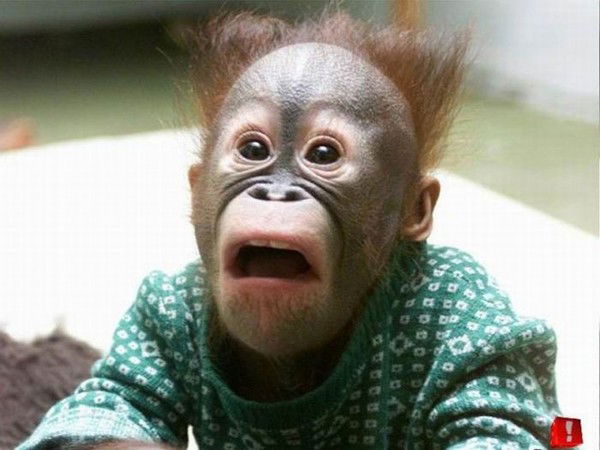 Алексей Данилов